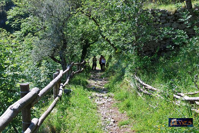 camminando lungo la staccionata.JPG